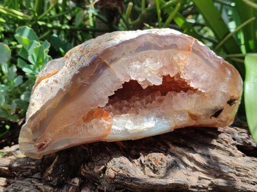 Polished Agate with Amethyst Geode x 1 From Maintirano, Madagascar - Toprock Gemstones and Minerals 
