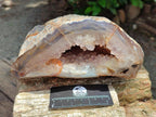 Polished Agate with Amethyst Geode x 1 From Maintirano, Madagascar