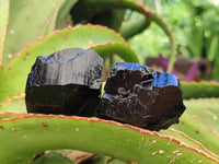 Natural Schorl Black Tourmaline Specimens x 13 From Erongo, Namibia