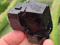 Natural Schorl Black Tourmaline Specimens x 13 From Erongo, Namibia