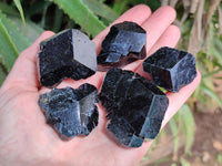 Natural Schorl Black Tourmaline Specimens x 13 From Erongo, Namibia
