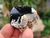 Natural Schorl Black Tourmaline Specimens x 13 From Erongo, Namibia