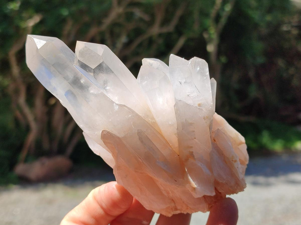 Natural Mixed Quartz Crystal Clusters x 12 From Madagascar