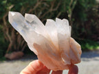 Natural Mixed Quartz Crystal Clusters x 12 From Madagascar