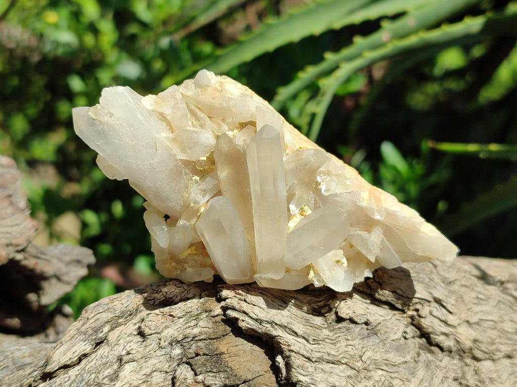 Natural Mixed Quartz Crystal Clusters x 12 From Madagascar