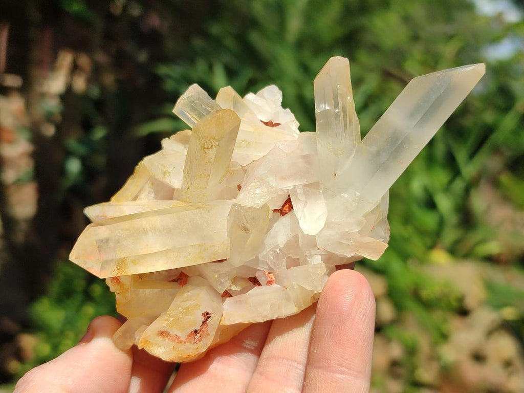 Natural Mixed Quartz Crystal Clusters x 12 From Madagascar