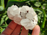 Natural Mixed Quartz Crystal Clusters x 12 From Madagascar