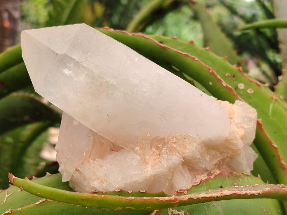 Natural Mixed Quartz Crystal Clusters x 12 From Madagascar