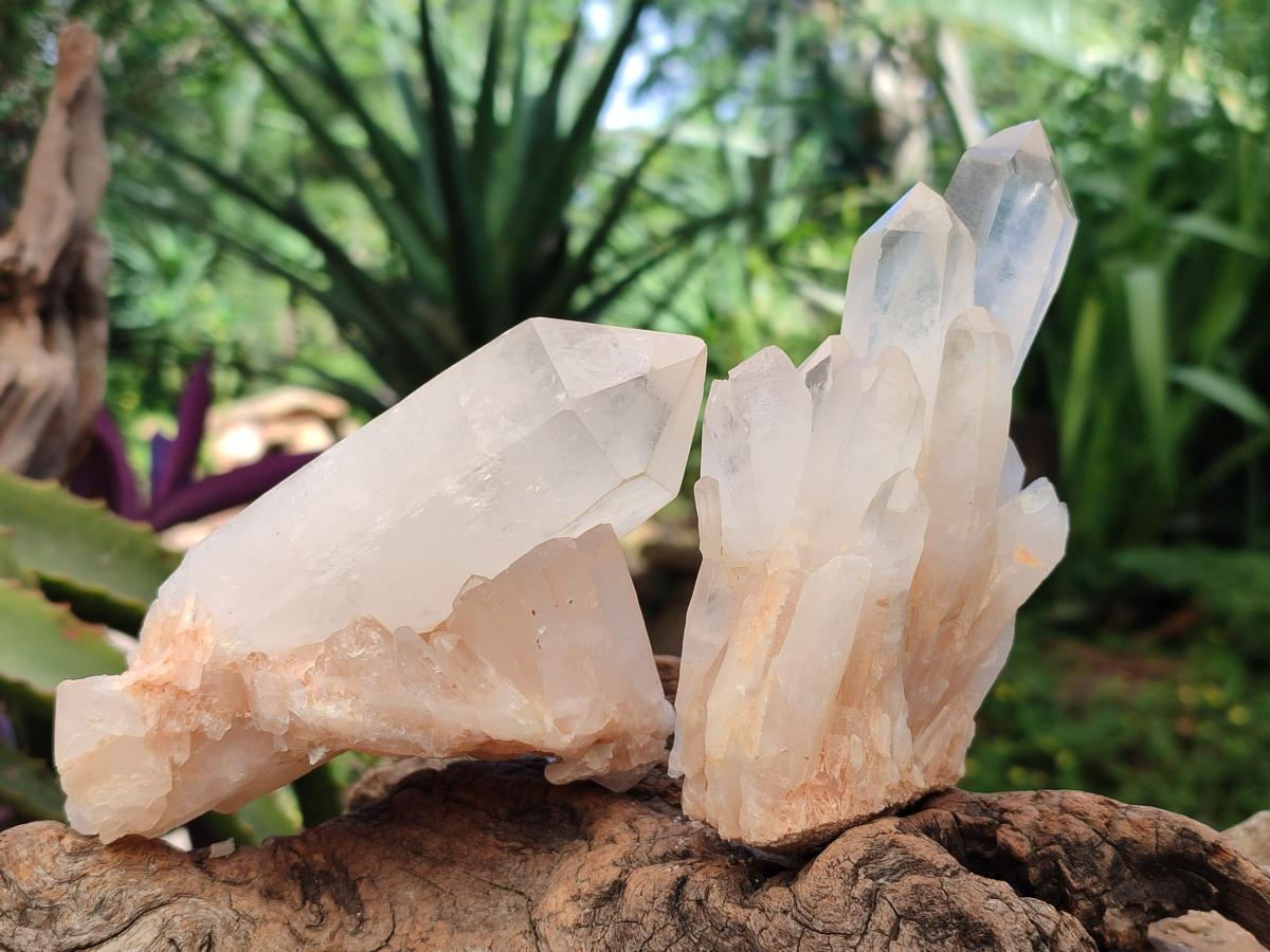 Natural Mixed Quartz Crystal Clusters x 12 From Madagascar
