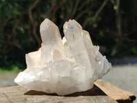 Natural Mixed Quartz Crystal Clusters x 12 From Madagascar