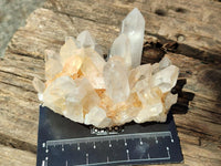 Natural Mixed Quartz Crystal Clusters x 12 From Madagascar