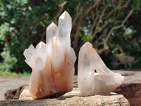 Natural Mixed Quartz Crystal Clusters x 12 From Madagascar