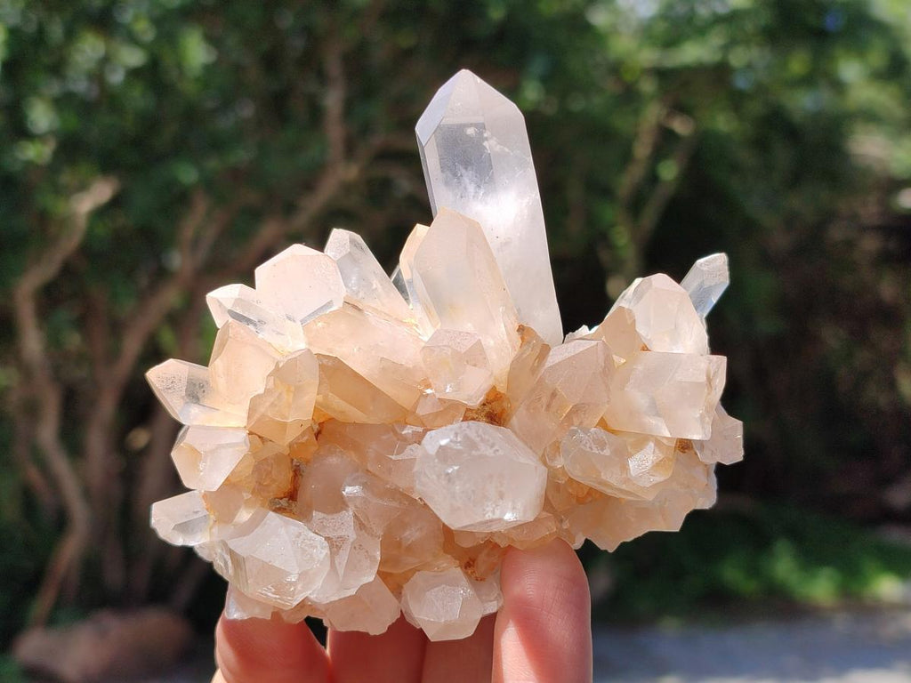 Natural Mixed Quartz Crystal Clusters x 12 From Madagascar