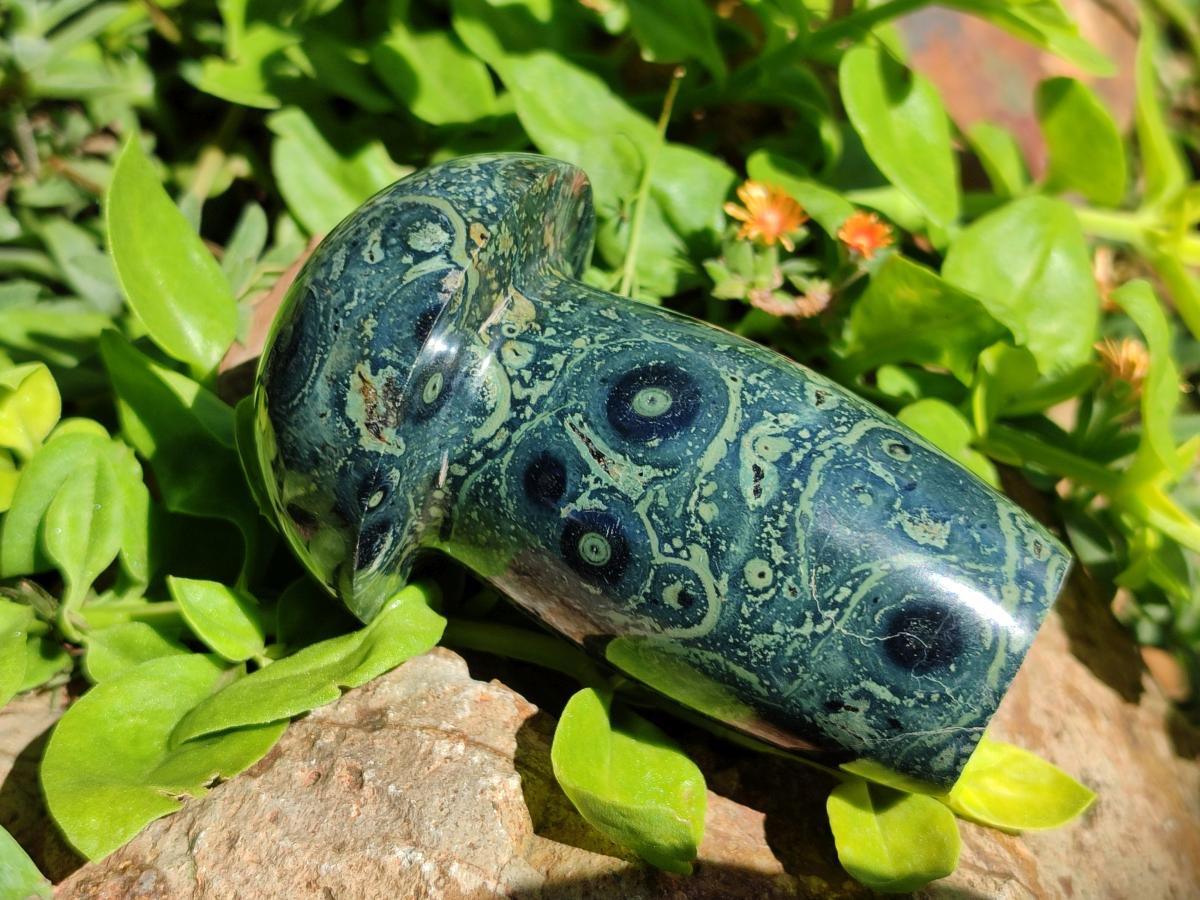 Polished Stromatolite Mushrooms x 6 From Katsepy, Madagascar