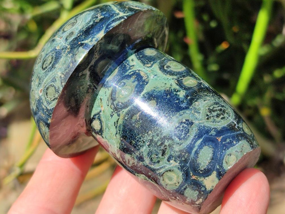 Polished Stromatolite Mushrooms x 6 From Katsepy, Madagascar