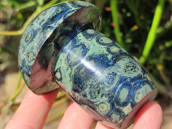 Polished Stromatolite Mushrooms x 6 From Katsepy, Madagascar