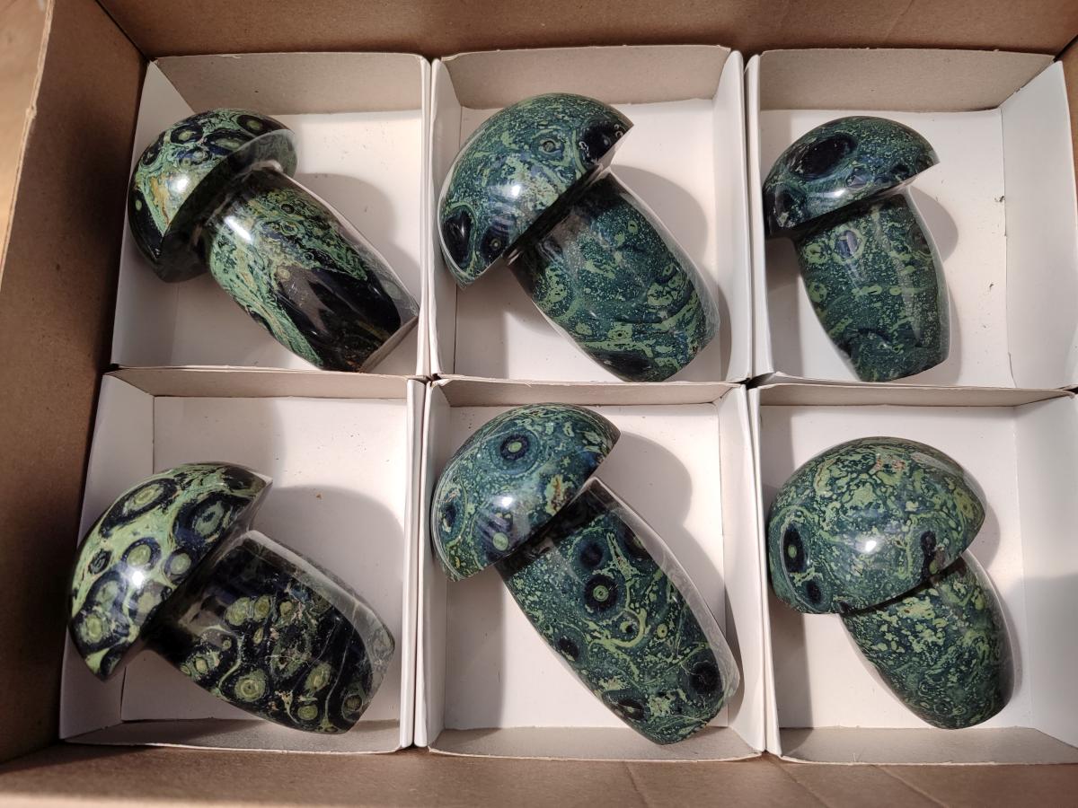 Polished Stromatolite Mushrooms x 6 From Katsepy, Madagascar