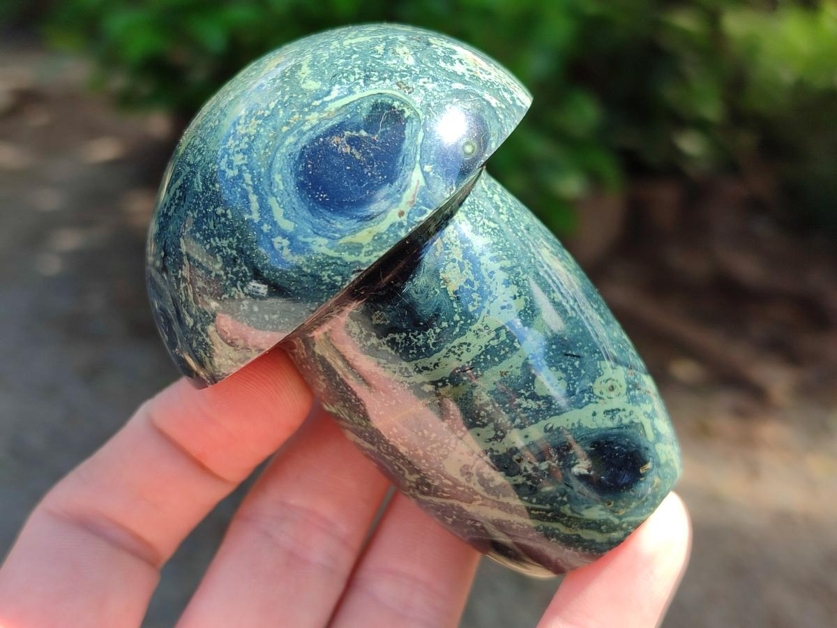 Polished Stromatolite Mushrooms x 6 From Katsepy, Madagascar