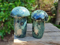 Polished Stromatolite Mushrooms x 6 From Katsepy, Madagascar