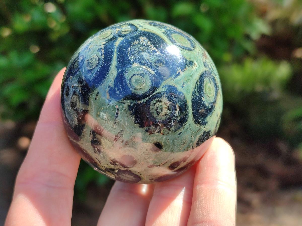 Polished Stromatolite Mushrooms x 6 From Katsepy, Madagascar