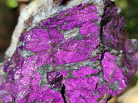 Natural Metallic Cobbed Purpurite Specimens x 6 From Erongo, Namibia