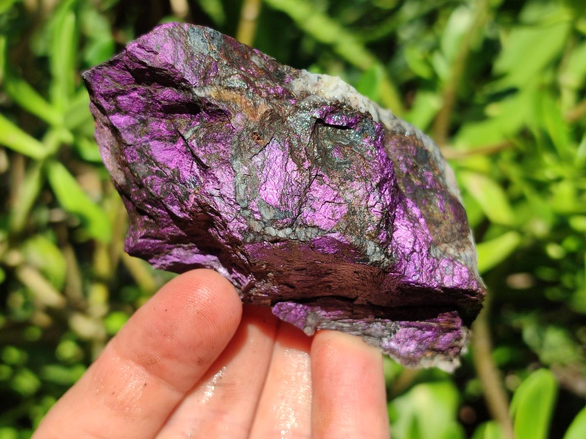 Natural Metallic Cobbed Purpurite Specimens x 6 From Erongo, Namibia