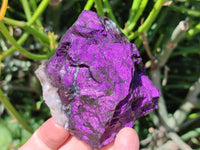 Natural Metallic Cobbed Purpurite Specimens x 6 From Erongo, Namibia