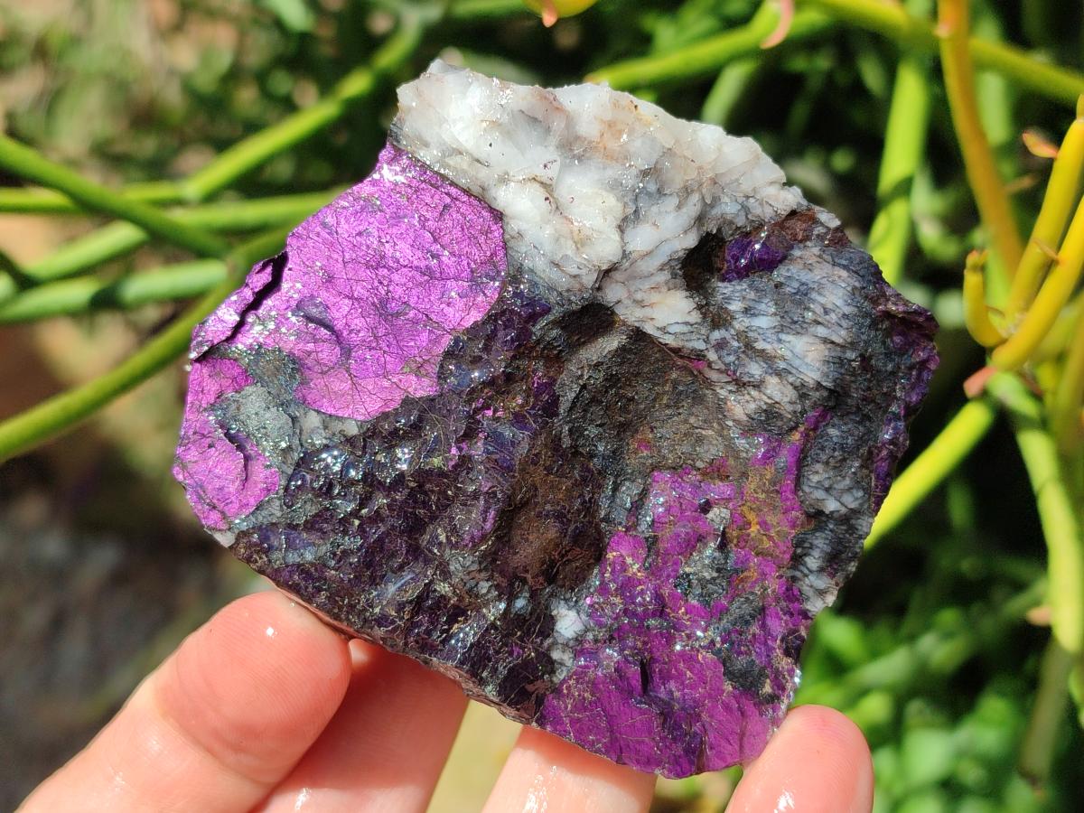 Natural Metallic Cobbed Purpurite Specimens x 6 From Erongo, Namibia