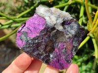 Natural Metallic Cobbed Purpurite Specimens x 6 From Erongo, Namibia