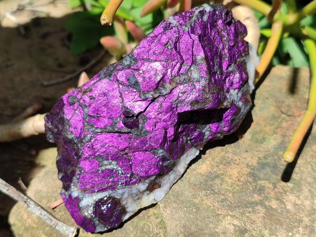 Natural Metallic Cobbed Purpurite Specimens x 6 From Erongo, Namibia