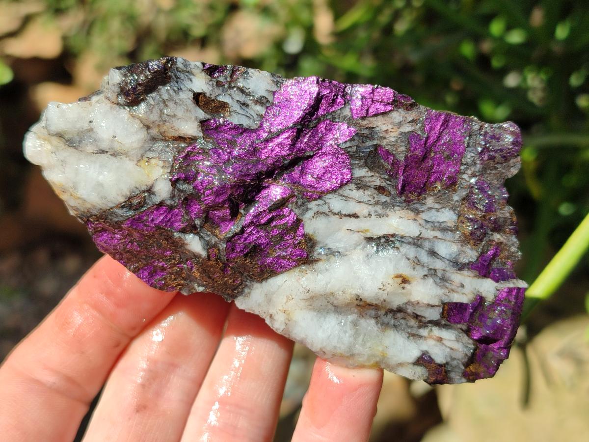 Natural Metallic Cobbed Purpurite Specimens x 6 From Erongo, Namibia