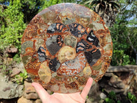 Hand Made Ammonite Conglomerate Display Plaques x 2 From Mahajanga, Madagascar