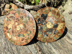 Hand Made Ammonite Conglomerate Display Plaques x 2 From Mahajanga, Madagascar - Toprock Gemstones and Minerals 