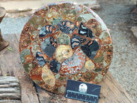 Hand Made Ammonite Conglomerate Display Plaques x 2 From Mahajanga, Madagascar
