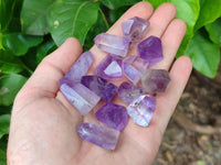 Polished Window Amethyst Crystals x 35 From Akansobe, Madagascar