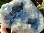 Natural Blue Celestite Geode Specimen x 1 From Sakoany, Madagascar