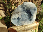 Natural Blue Celestite Geode Specimen x 1 From Sakoany, Madagascar