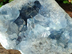 Natural Blue Celestite Geode Specimen x 1 From Sakoany, Madagascar