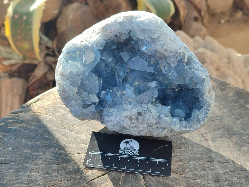 Natural Blue Celestite Geode Specimen x 1 From Sakoany, Madagascar