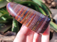 Polished Banded Tiger Iron Standing Free Forms x 3 From South Africa