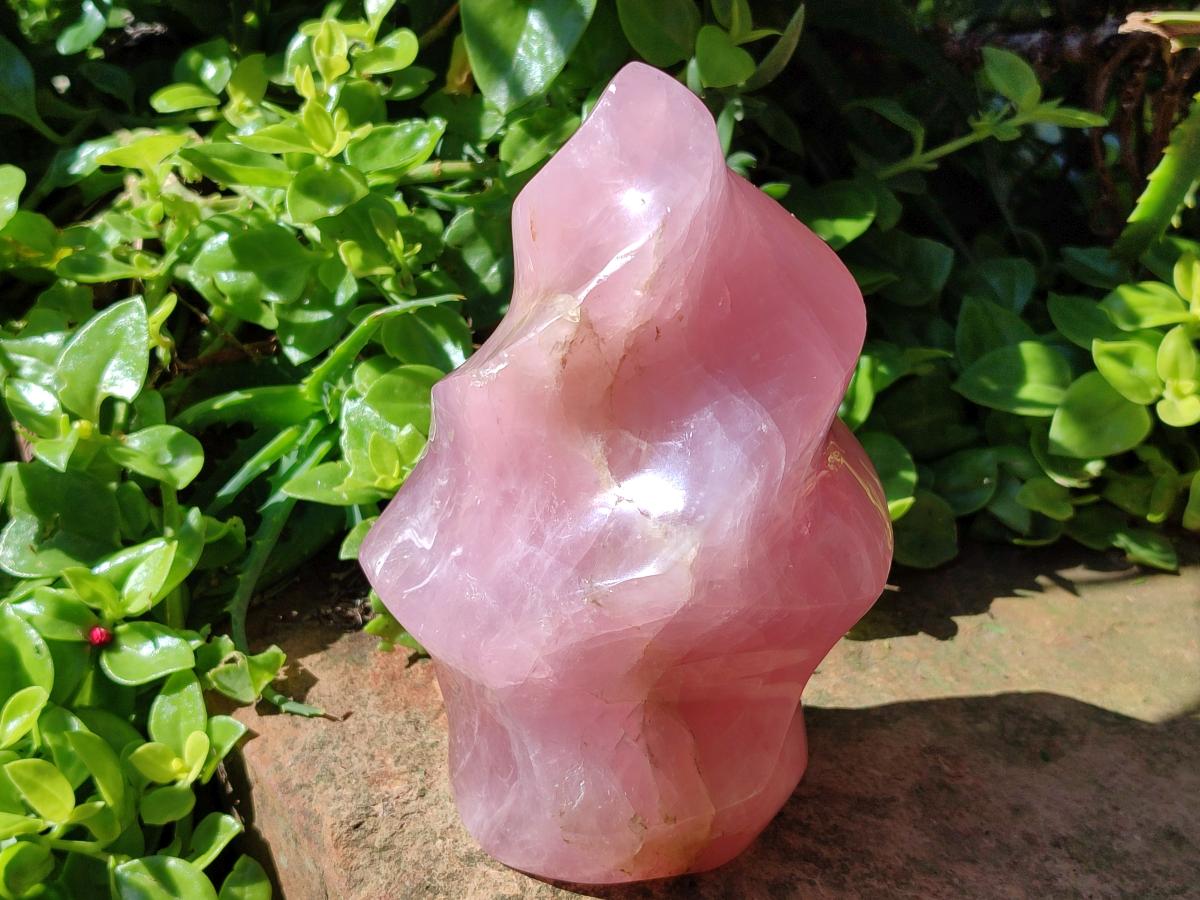 Polished Gemmy Rose Quartz Flame x 1 From Madagascar