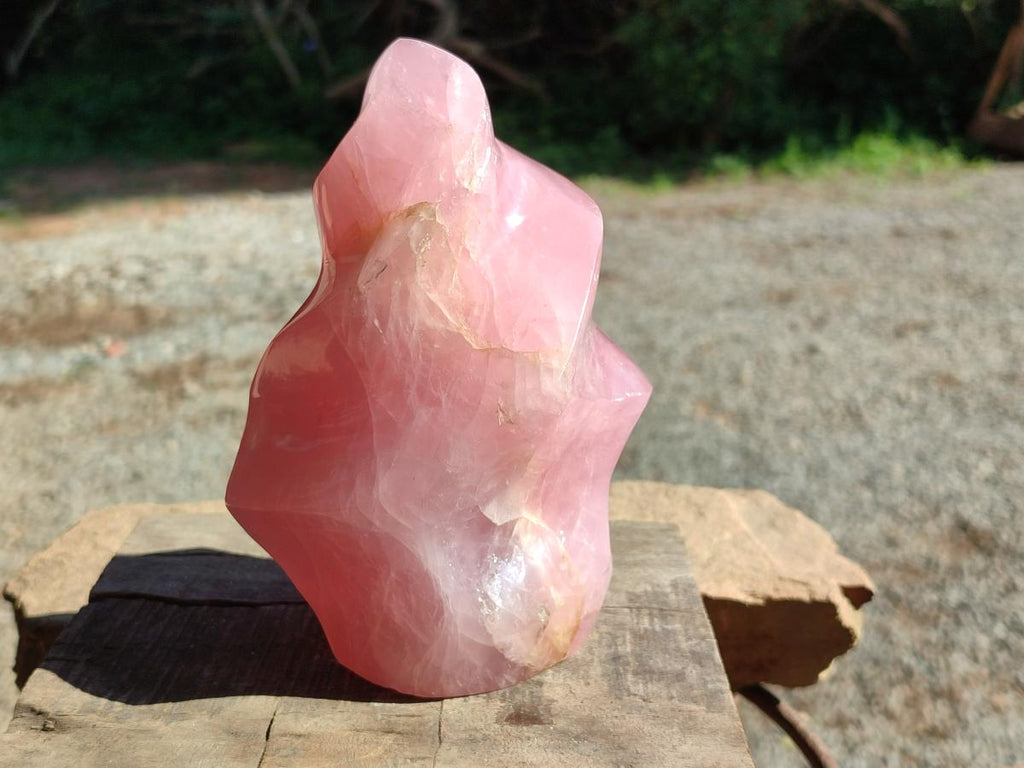 Polished Gemmy Rose Quartz Flame x 1 From Madagascar