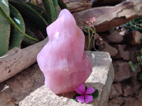 Polished Gemmy Rose Quartz Flame x 1 From Madagascar