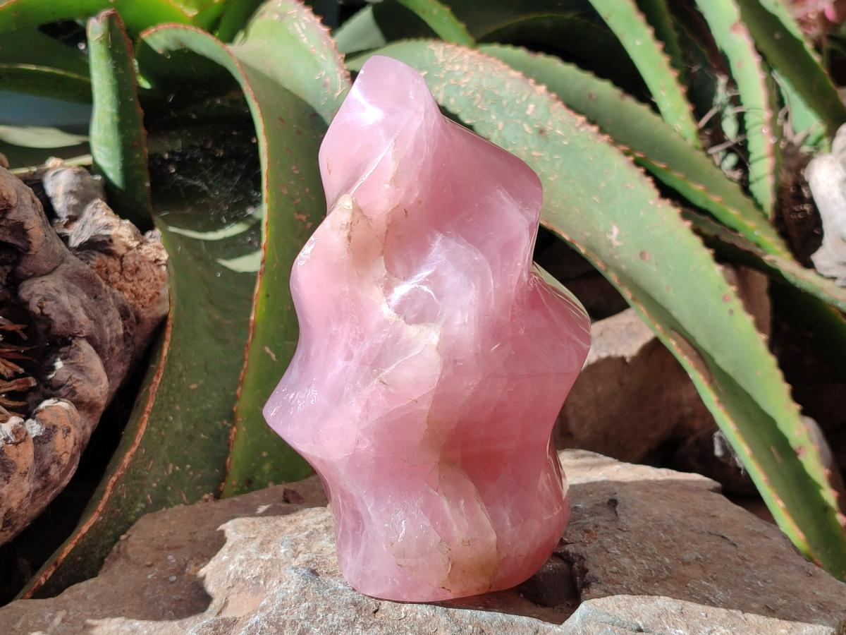 Polished Gemmy Rose Quartz Flame x 1 From Madagascar
