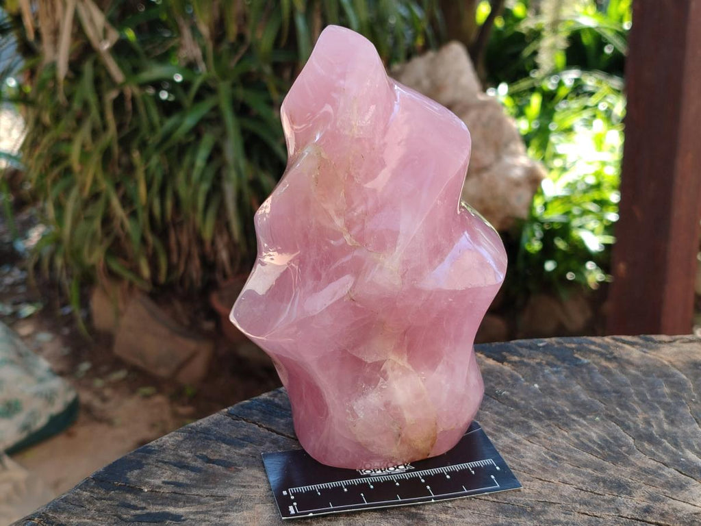 Polished Gemmy Rose Quartz Flame x 1 From Madagascar