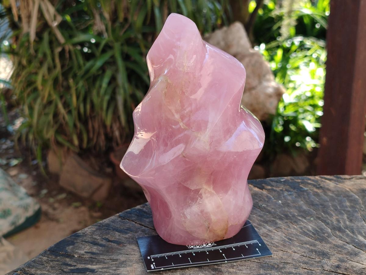 Polished Gemmy Rose Quartz Flame x 1 From Madagascar