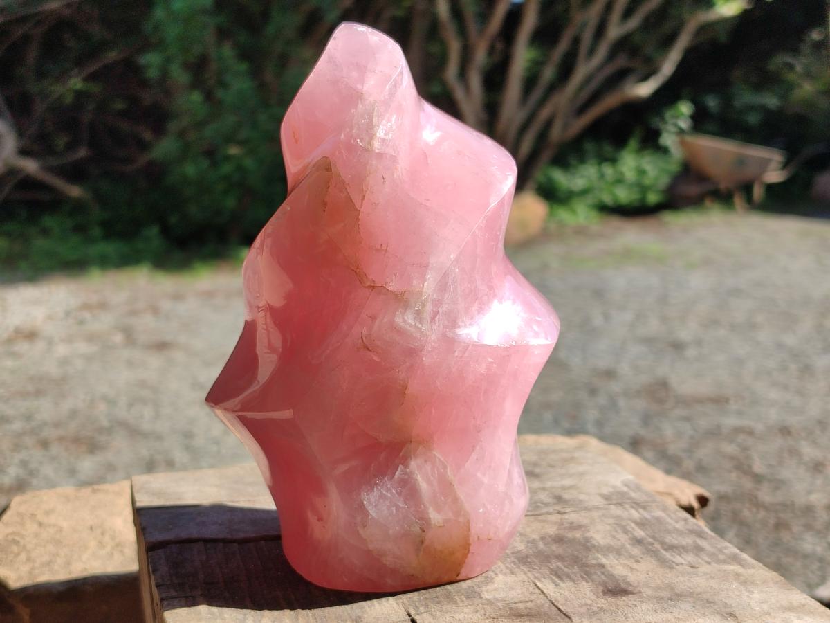 Polished Gemmy Rose Quartz Flame x 1 From Madagascar