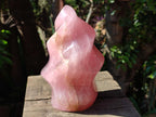 Polished Gemmy Rose Quartz Flame x 1 From Madagascar
