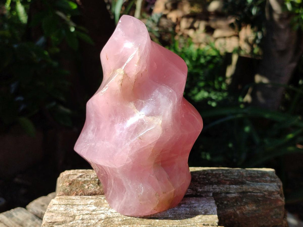 Polished Gemmy Rose Quartz Flame x 1 From Madagascar