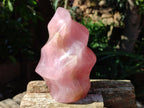 Polished Gemmy Rose Quartz Flame x 1 From Madagascar
